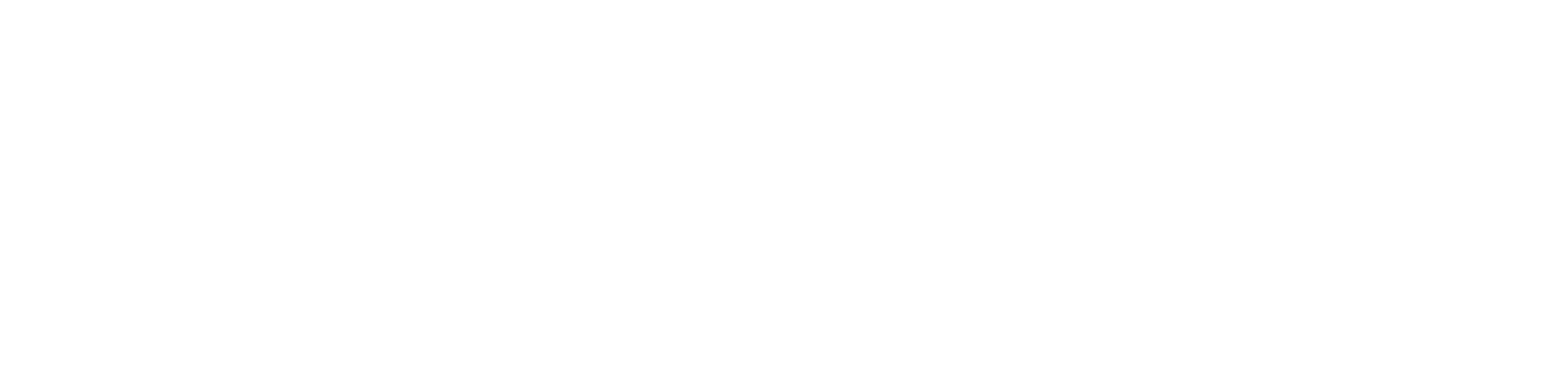 Logo_Valmax_G_WHITE